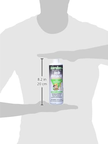 KORDON #39446 100% Natural and Herbal Formula Ich Attack-Ich Treatment for Aquarium, 16-Ounce - BeesActive Australia