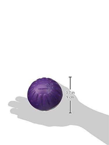 [AUSTRALIA] - Starmark Fantastic DuraFoam Ball Tough Dog Toy, Color Varies Large 