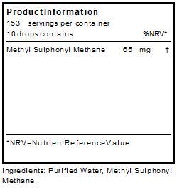 Methylsulphonomethane MSM Liquid | 153 Servings Per Container (65mg) | Made in The UK | Nothing Added - BeesActive Australia