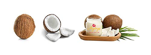 Premium Organic Extra Virgin Coconut Oil (140ml) 140ml - BeesActive Australia