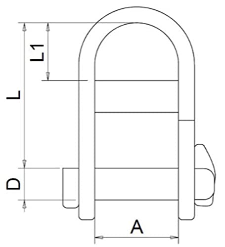 MarineNow 316 Stainless Steel Captive Key Pin Halyard D-Shackle with Bar Choose Size and Quantity 05 mm (3/16") 01-pack - BeesActive Australia