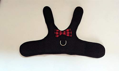 Multipurpose Rabbits Hamster Vest Harness with Leash Bunny Mesh Chest Strap Harnesses Ferret Guinea Pig Small Animals Pet Accessories Blue S - BeesActive Australia
