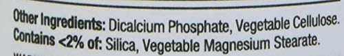 Nature's Bounty Vitamin B-2 100 mg, 100 Coated Tablets (Pack of 4) - BeesActive Australia