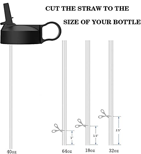 The Mass Wide Mouth Straw Lid Compatibility Most Sports Water Bottle (Black) - BeesActive Australia
