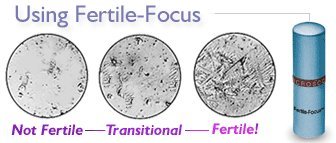 Fairhaven Health Fertil Focus Personal Ovulation Microscope (Doctor Approved, Saliva Based Fertility Test) - BeesActive Australia