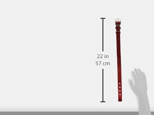 Hamilton Double Thick Nylon Deluxe Dog Collar Red 1" x 22" - BeesActive Australia