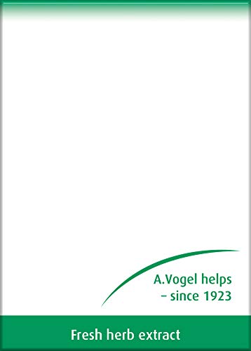 A.Vogel Ginkgo Biloba Tablets | Food Supplement | Extract from Fresh Ginkgo biloba Leaves | Suitable for Vegetarians | 30 Days Supply | 120 Tablets - BeesActive Australia