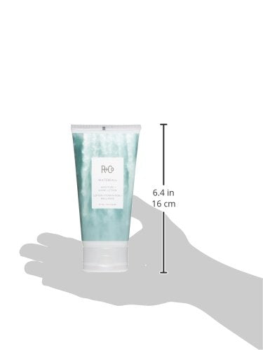 R+Co Waterfall Moisture and Shine Lotion 5 Fl Oz (Pack of 1) - BeesActive Australia
