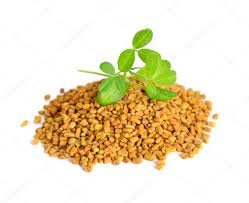 Fenugreek Seeds Powder 100 Grams | 3.5 oz | Trigonella foenum-graecum Sd. | Methi Powder |Hair Care - BeesActive Australia