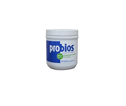 Probios Probiotic Powder for Animals 240g - BeesActive Australia