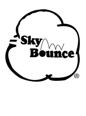 Sky Bounce Color Rubber Handballs for Recreational Handball, Stickball, Racquetball, Catch, Fetch, and Many More Games, 2 1/4-Inch - Red - 12 Pack - BeesActive Australia