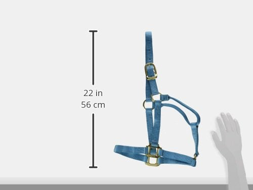 [AUSTRALIA] - Hamilton 1 Nylon Quality Horse Halter Ocean Blue Average, 800-1100 Pounds 