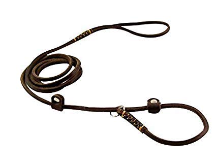 Real Leather Slip Dog Leash for Small Medium Large Dogs Puppies Lightweight Thin but Sturdy Adjustable Slip Lead Dog Leash Soft and Slim 5 ft x 1/5 inch Small( 5 ft x 1/5 inch) - BeesActive Australia