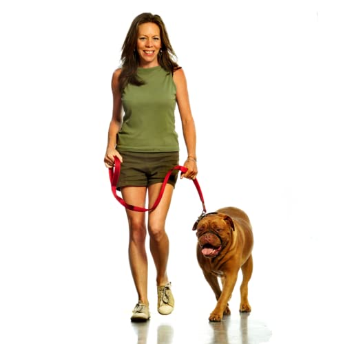 Canny Collar Dog Head Collar, No Pull Leash Training Head Harness, Easy to Fit Halter that Stops Pulling, Comfortable & Calm Control with Padded Collar, Kind To Your Dog, Enjoy Gentle Walks with Small, Medium or Large Dogs, Black, Blue, Purple & Red - BeesActive Australia