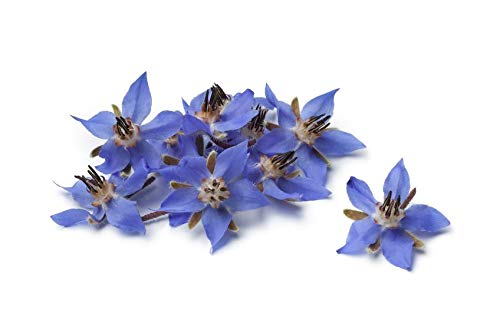 US Organic Borage seed Oil (18% GLA), USDA Certified Organic, 100% Pure & Natural, Cold Pressed, aka Starflower oil, in Amber Glass Bottle w/Glass Eye dropper for Easy Application (2 oz (56 ml)) 2 Fl Oz (Pack of 1) - BeesActive Australia