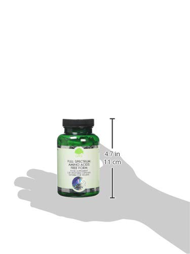 G&G Vitamins Full Spectrum Amino Acid Capsules - Vegan Free Form, BCAA - 120 Capsules - BeesActive Australia