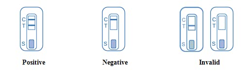 Core tests Syphilis Home Test (Pack of 2) | Fast Results for Male and Female | STI Test STD - BeesActive Australia