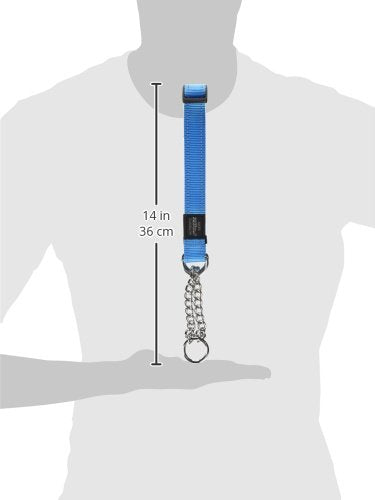 Rogz Utility Extra Large 1-Inch Reflective Lumberjack Obedience Half-Check Dog Collar Turquoise - BeesActive Australia