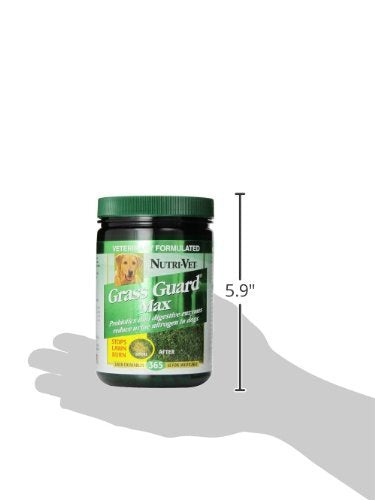 Nutri-Vet Probiotic Dog Supplements|Grass Guard Max with Probiotics & Digestive Enzymes 365 ct - BeesActive Australia