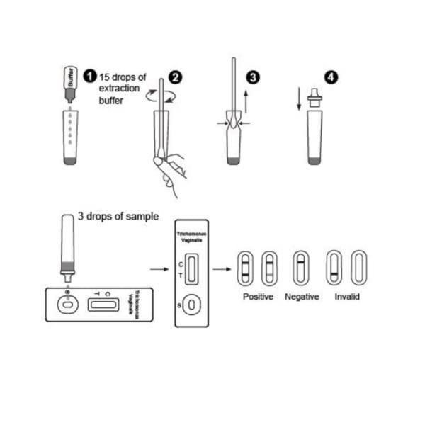 Trichomoniasis Vaginalis Anonymous Swab Testing Kit | Fast Results | for Professional Use | STI Test STD Trichomonas Candida Trich - BeesActive Australia