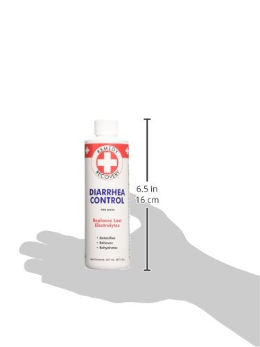 DOGSWELL Remedy and Recovery Diarrhea Control for Dogs, 8 oz. (Packaging May Vary) - BeesActive Australia
