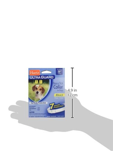 Hartz Ultraguard Flea & Tick Dog Collar 20", White 1 ea - BeesActive Australia