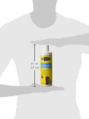 [AUSTRALIA] - Manna Pro 1000193 62620 Corona Topical Analgesic Veterinary Liniment, 16 Ounces 