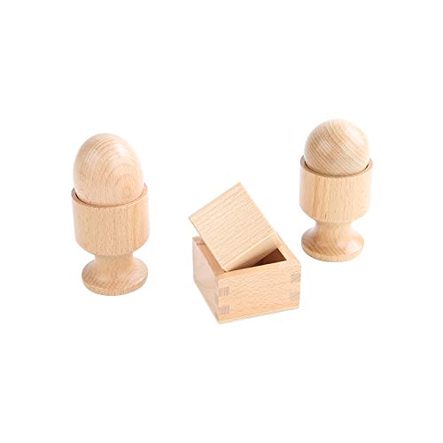 Adena Montessori Inspired 3D Object Fitting Exercise - Wooden Toys for Fine Motor Skills - 6-12 Months Educational Baby Toy Set - BeesActive Australia