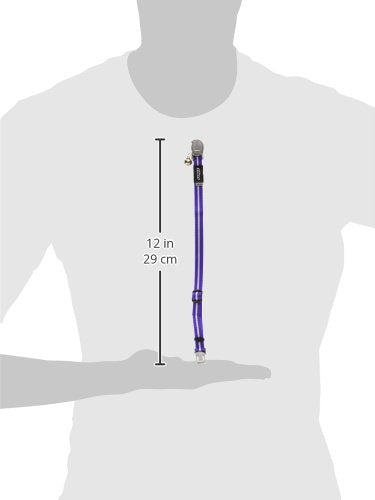 Rogz Catz Small 3/8-Inch Alley Cat Safeloc Breakaway Clip Adjustable, Reflective Cat Collar Purple - BeesActive Australia
