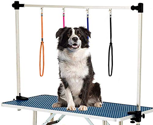 Pet Dog Grooming Loop, Nylon Restraint Noose Adjustable Fixed Dog Cat Safety Tether Straps Dog Grooming Supplies for Pet Grooming Table Bathtub green+orange 6 PACK - BeesActive Australia