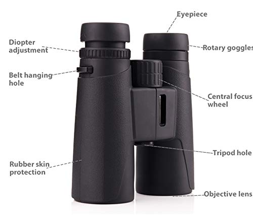 10X42 Professional Binoculars with Smartphone Adapter, Compact Waterproof Low Night Vision Binoculars for Adult Birds Watching Hunting Concert Travel - BeesActive Australia