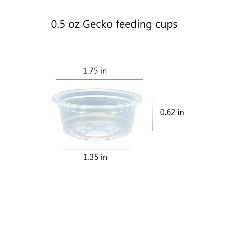 QIHYCUF 100 pcs Small Gecko Food and Water Cups Plastic Reptile Feeding Bowls Ledge Accessories for Crested Gecko Lizards Small Pets, 0.5 oz - BeesActive Australia