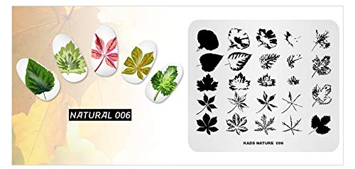 KADS Templates for Nails Leaf Nature Fall Stamping Plates Image Plates for Manicure DIY Nail Art (NA006) NA006 - BeesActive Australia