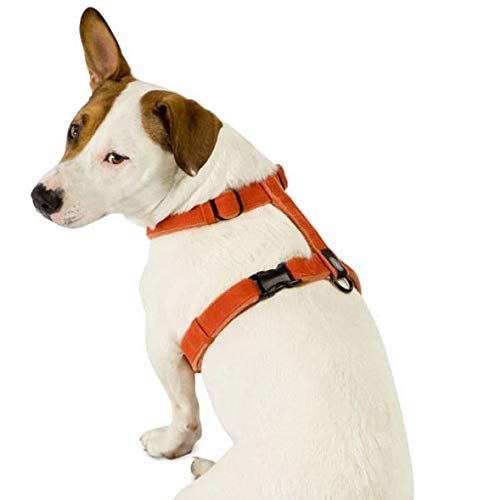 Cozy Natural Harness with Soft Lining Medium Sage Green - BeesActive Australia