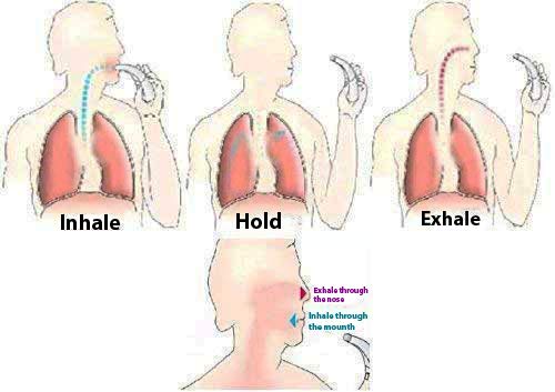 Himalayan Ceramic Pipe Salt Inhaler + Free 50 Grams Pouch of Pink Salt Included Inhaler + 50 Grams Pink Salt - BeesActive Australia