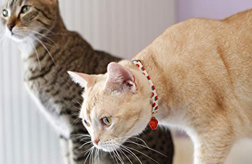 PetSoKoo Cute Cat Collar with Bell and Strawberry Charm.100% Cotton.Safety Breakaway Soft.for Girl Boy Male Female Kitten Collar Medium (8-12 inch,20-31cm) White - BeesActive Australia