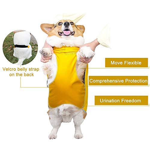 Dog Raincoat with Hood for Small Dog,Medium Dog,Luccalily Waterproof Dog Rain Jacket with Reflective Strip Adjustable Belly Strap Lightweight Poncho with Storage Bag Medium Yellow - BeesActive Australia