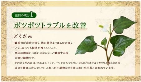 Seed Combs Dokudami & Aloe Supplement Ketsumeishi Oligosaccharide (30 tablets for about 1 month) - BeesActive Australia