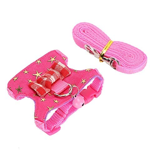 with Soft Texture Outdoor Chest Strap Ferret Leash Pet Harness Ferret Pet Supplies S number - BeesActive Australia