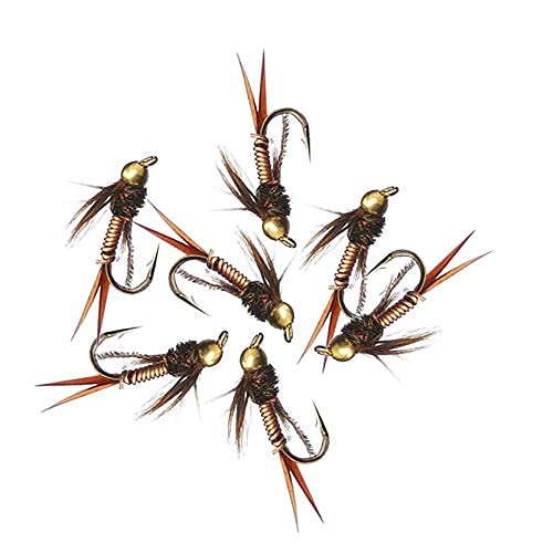 OutdoorFishing Flies Nymph Assortment Trout Fishing Flies (24-48Pcs) 24Pcs/Box - BeesActive Australia