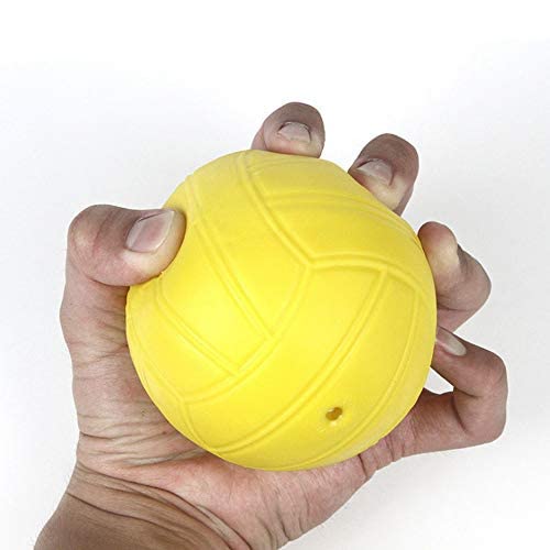 Feishibang roundnet Game Balls Replacement Including 6" Training Ball and 3.6" Competition Balls with Pump - BeesActive Australia