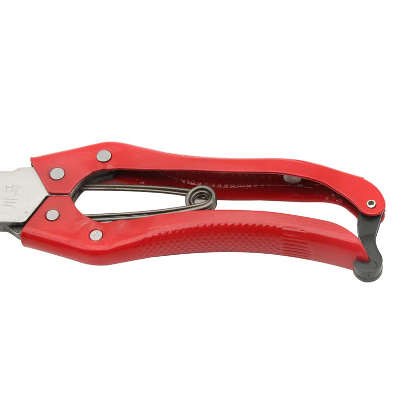Hand Shears for Sheep Multifunctional Sheep Shear Wool Shear Trimming Scissor with Spring Stainless Steel Garden Kitchen Scissors - BeesActive Australia