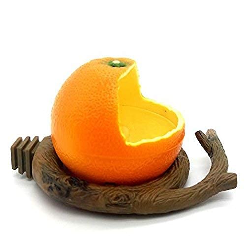 Pxlucky Birds Feeder Bowl,Bird Food Feeding Bowl Feed Cup for Small Parrots Cockatiels Conure Hamster Small Animal Drinking Water Container for Birds Cage Accessories,Orange Orange - BeesActive Australia