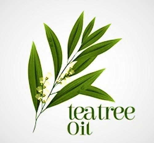 100% Natural Healing Tea Tree Ointment: for nail infections, athletes foot, bad odours and more 60ml - BeesActive Australia