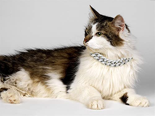 Halukakah Gold Chain Iced Out for Cat,Diamond Cuban Link Necklace Collar 14MM 18k Real Gold/Platinum White Gold Plated Size XS-M with Free Giftbox,Decoration Only Platinum Plated X-Small / 7" (for less than 6" Cat Neck) - BeesActive Australia
