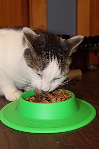 STAYbowl NO-Slip/NO-TIP Pet Food and Water Bowl for Cats (3/4 Cup in Four Colors Sky Blue - BeesActive Australia