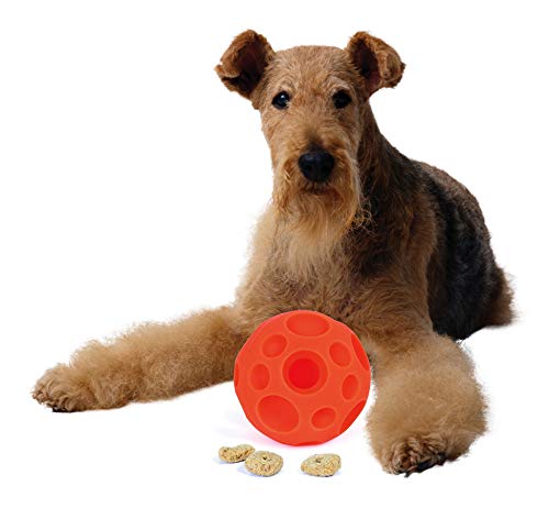 Omega Paw Tricky Treat Ball, Large - BeesActive Australia