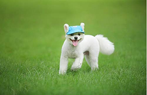 Haikaji Dog Hat,Dog Sunscreen Hat Baseball Cap Outdoor Sports Hat with Ear Holes Chin Strap Adjustable Hat for Small and Medium Dog Large Dogs Blue - BeesActive Australia