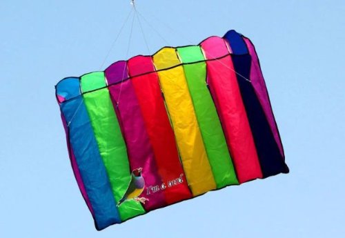 [AUSTRALIA] - L.W. Eye Catching 8 Hole Single Line Control Parachute Parafoil Foil Kite Outdoor Beach Garden Playground Fun 