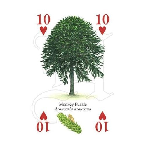 [AUSTRALIA] - The Famous Trees Playing Cards 
